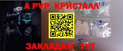 стафф Кингисепп