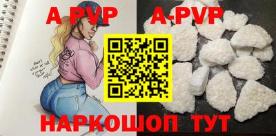 стафф Кингисепп