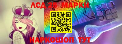 стафф Кингисепп