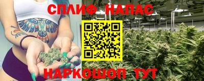 стафф Кингисепп
