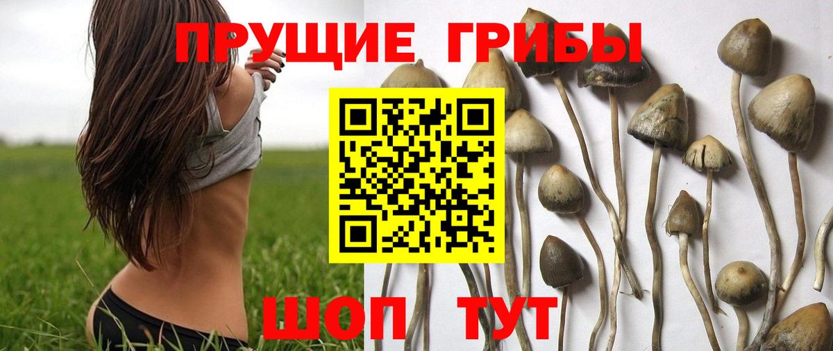 Галлюциногенные грибы Magic Shrooms Кировск