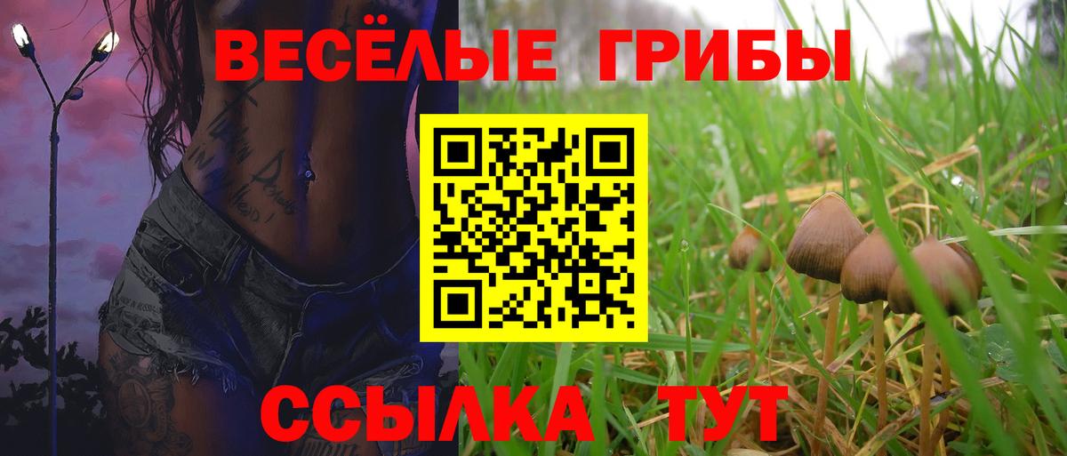 Кировск  Галлюциногенные грибы Cubensis  Галлюциногенные грибы мухоморы  Вход с VPN 