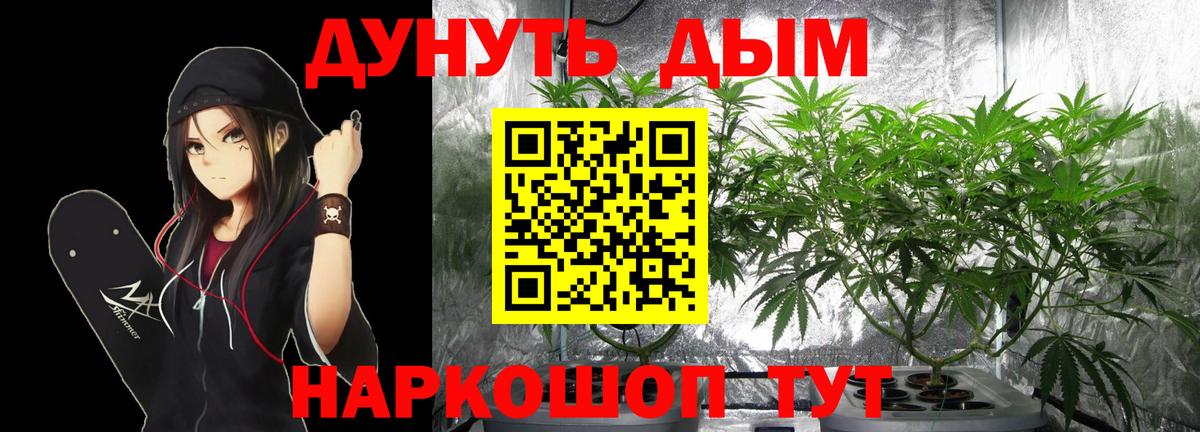 Конопля Ganja  Вход с VPN  Марихуана план  Марихуана THC 21%  Кировск  Бошки марихуана марихуана 